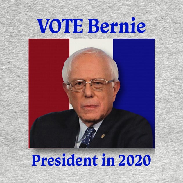 Vote Bernie 2020 by EspPhoenix